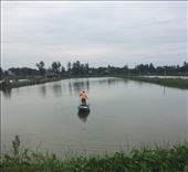 by sorkoo, Views[318]