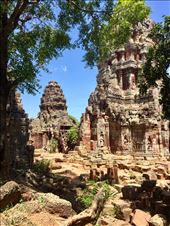 by sorkoo, Views[403]