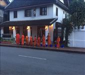 by sorkoo, Views[347]