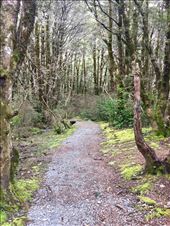 by sorkoo, Views[259]