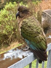 by sorkoo, Views[350]