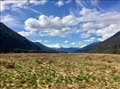 by sorkoo, Views[226]