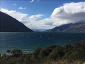 by sorkoo, Views[331]