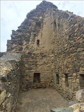 by sorkoo, Views[319]