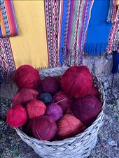 by sorkoo, Views[356]