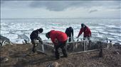 The make-shift fence we used to enclose penguins that needed to be measured.: by sorryimnotsorry, Views[247]