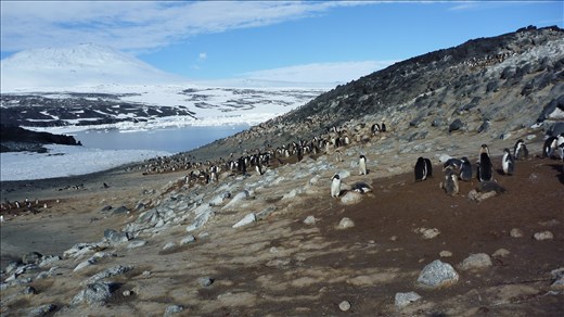 Exploring the beautiful landscape of Cape Royds, Antarctica.