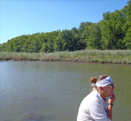 Deep thinking about marsh research - Chesapeake Bay