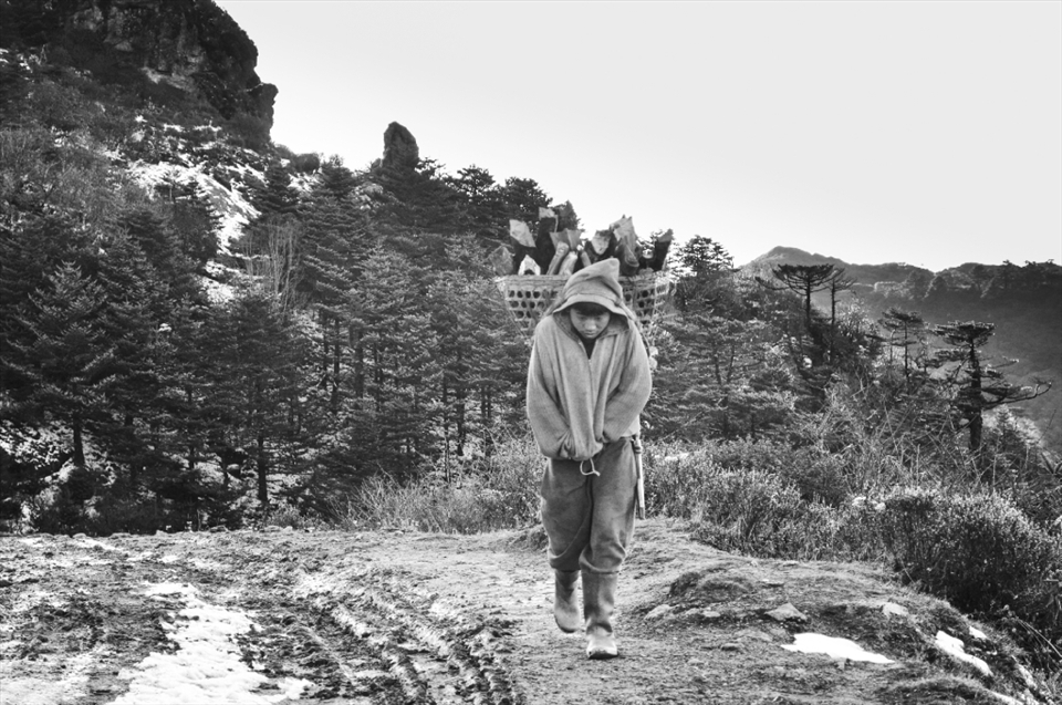 It is really very tough to live in this extreme weather, but as the going gets tough the tough gets going. People who live here go through extreme climatic situations that one can only imagine. The only source of fuel is timber which is collected from the woods and stored in order to cook and keep them warm. The people living here have been immune to this extreme weather and can easily work without gloves which for a common man would be next to impossible. Sandakhphu West Bengal India    