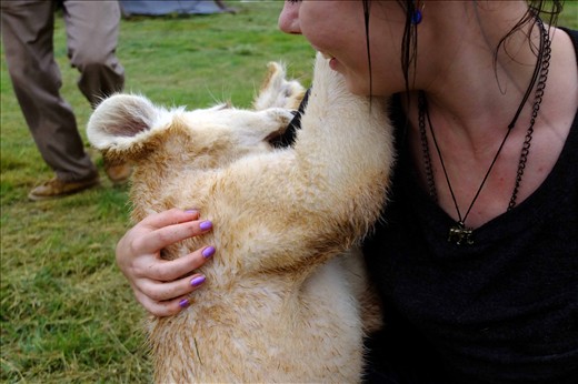 This young cub doesn’t know his own strength, biting into his visitors’ skin