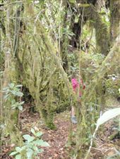 by southamerica, Views[258]