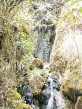 by southamerica, Views[236]