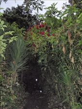 by southamerica, Views[196]