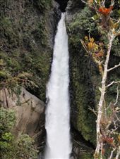 Pictures from the 23km waterfall bike ride.: by southamerica, Views[325]