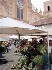 Flower market in Cuenca: by southamerica, Views[302]