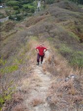 by southamerica, Views[220]