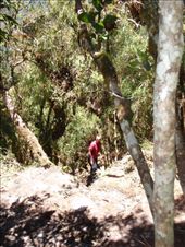 by southamerica, Views[223]