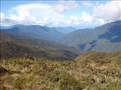 by southamerica, Views[278]