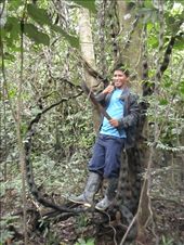 by southamerica, Views[174]