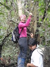 by southamerica, Views[186]