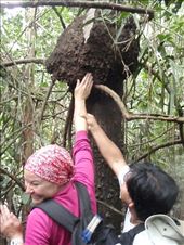 by southamerica, Views[171]