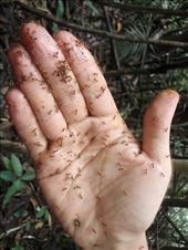 by southamerica, Views[217]