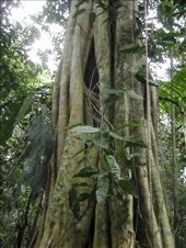 by southamerica, Views[193]