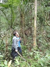 by southamerica, Views[183]