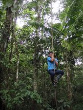 by southamerica, Views[234]