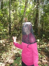 by southamerica, Views[198]