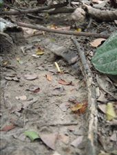 by southamerica, Views[187]