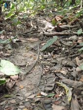 by southamerica, Views[174]