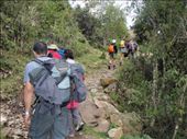 by southamerica, Views[181]