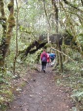 by southamerica, Views[235]