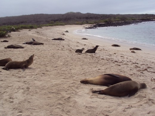 San Cristobal Island.