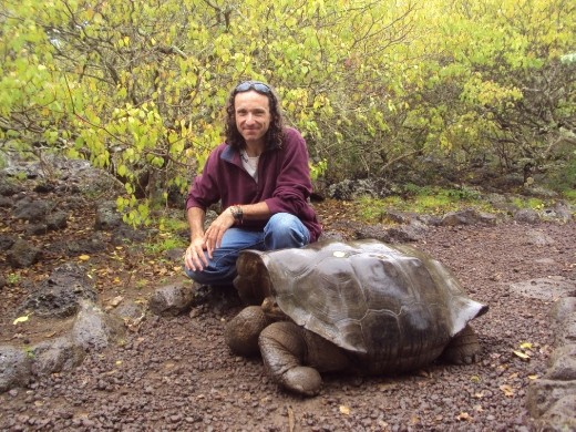One of the local residents at the Galapaguera tortoise breeding centre. San Cristobal Island.