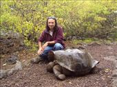 One of the local residents at the Galapaguera tortoise breeding centre. San Cristobal Island.: by spacemanafrica, Views[169]