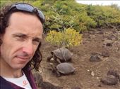 The Galapaguera tortoise breeding centre. San Cristobal Island.: by spacemanafrica, Views[165]