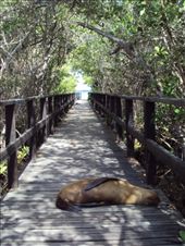 by spacemanafrica, Views[218]