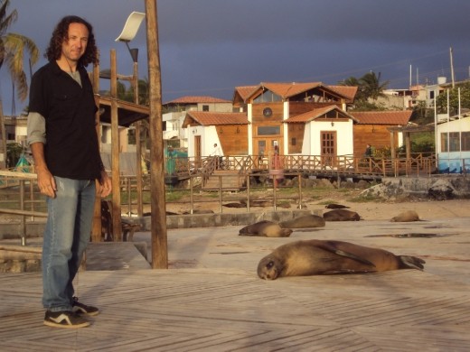 Sea-lions. San Cristobal Island