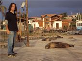 Sea-lions. San Cristobal Island: by spacemanafrica, Views[196]