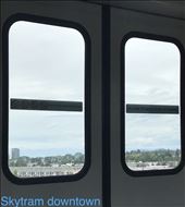 by spaghettilegs, Views[198]