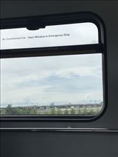 by spaghettilegs, Views[230]