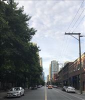 by spaghettilegs, Views[366]