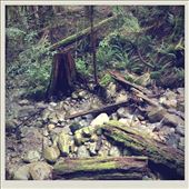 by spaghettilegs, Views[194]