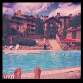 by spaghettilegs, Views[173]