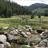 by spaghettilegs, Views[297]