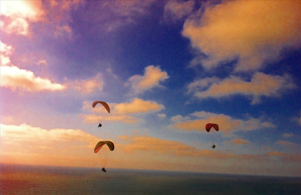 Paragliders 