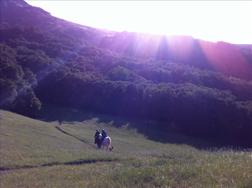 Couple Horseback Riding