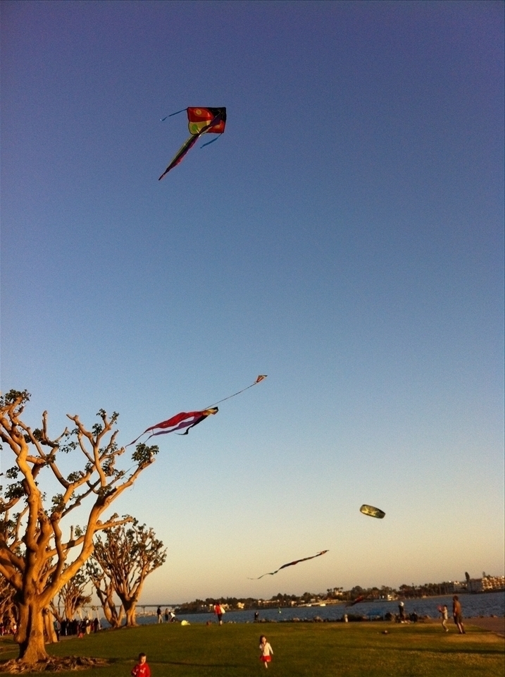 Kite Flying at Dusk